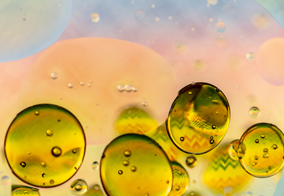 Z6·尊龙「中国区」官方网站