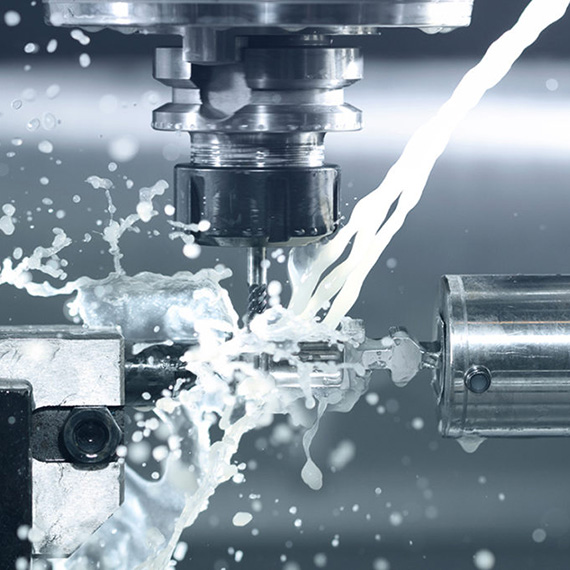 Z6·尊龙「中国区」官方网站